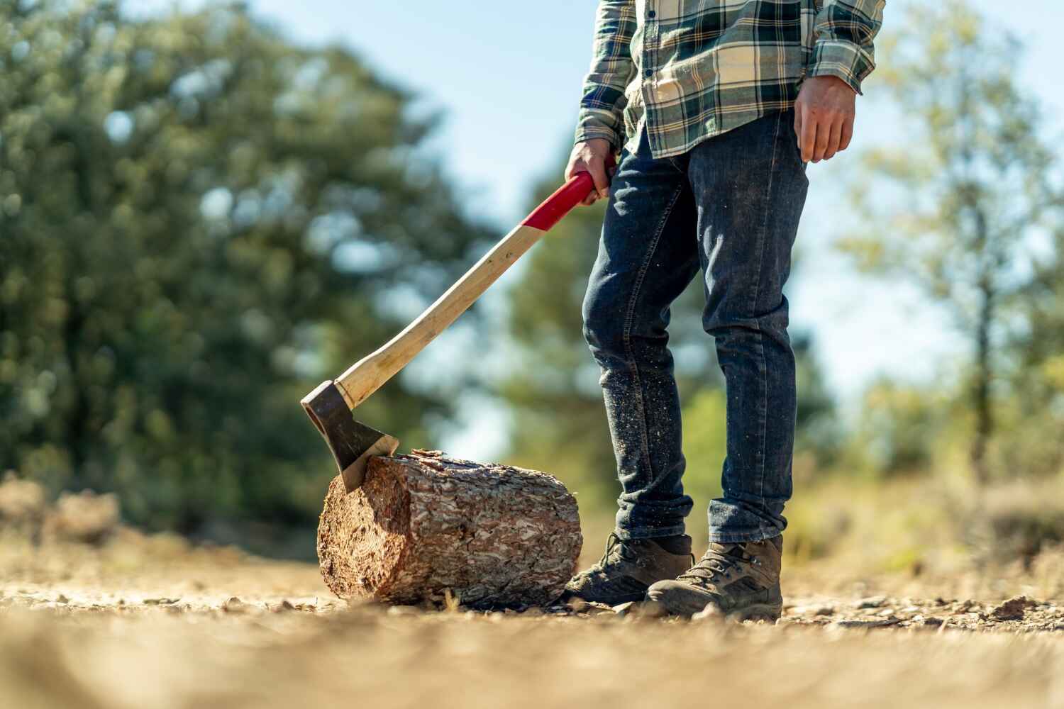 Best Tree Trimming Near Me  in Dacula, GA